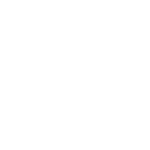 the dot