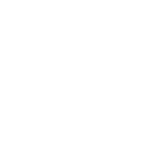 the dot