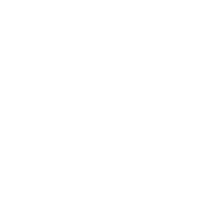 the dot